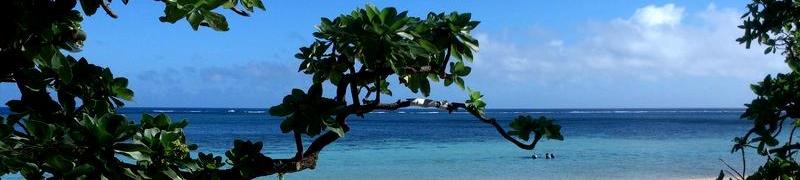 写真の説明を入れます